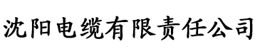 亚洲综合中文字幕无线码电缆厂logo